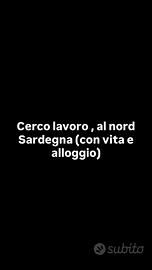 Cameriere , trasposto (ho la patente B)