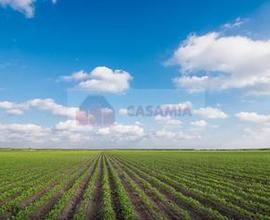 Terreno Agricolo - Gaiarine