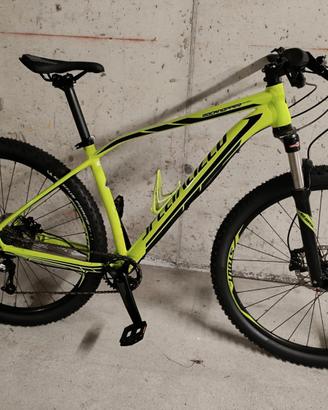 mtb specialized 29 