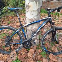 Mountain Bike Bottecchia come nuova