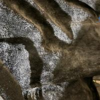 Coperta per Honda SH 300