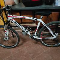 MTB bottecchia