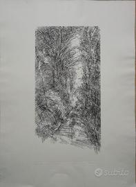 Grafica: Pino Mantovani acquaforte