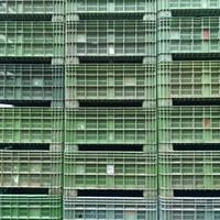 Cassone plastica - bins