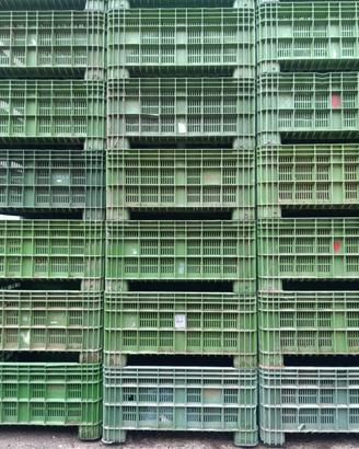 Cassone plastica - bins