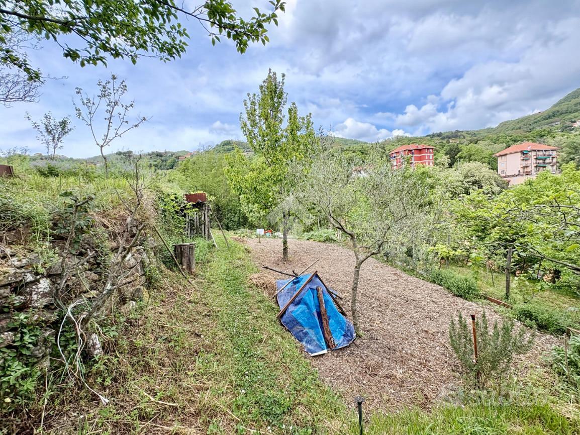 TER. AGRICOLO A SANT'OLCESE - Vista 3