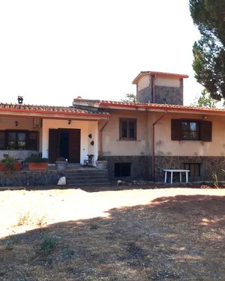 Villacidro - Villa in campagna