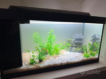 Acquario TetraStarterLine 54L completo come nuovo