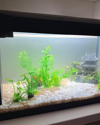 Acquario TetraStarterLine 54L completo come nuovo