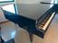 Immagine 13