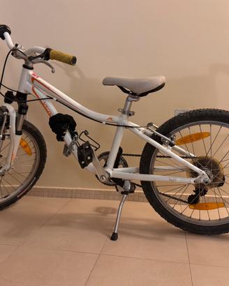 Mountain bike, ruote diametro 20, 6 marce