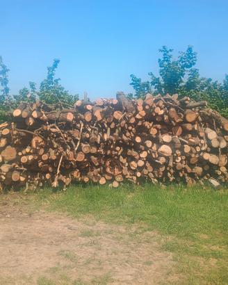 legna da ardere 