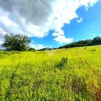 TER. AGRICOLO A CANTALUPO IN SABINA