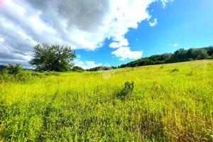 TER. AGRICOLO A CANTALUPO IN SABINA