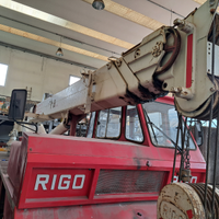 Autogru rigo 30 ton