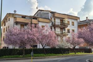 3 LOCALI A COLLEFERRO