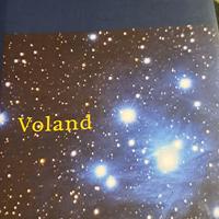 romanzo l'isola del crollo