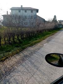 Casale indipendente s. giorgio di nogaro vicinanze