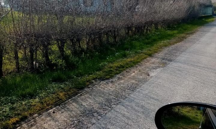 Casale indipendente s. giorgio di nogaro vicinanze