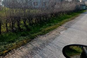 Casale indipendente s. giorgio di nogaro vicinanze