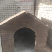 nr 2 cuccie per cani 