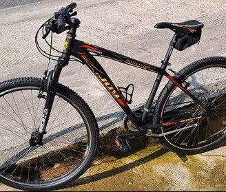 Mountain Bike Bottecchia front 29