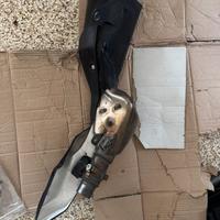 Scarico originale Kawasaki Z800 ABS 2016