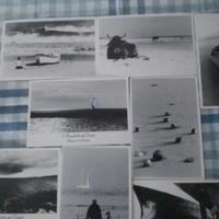 cartoline