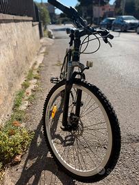 Bicicletta 29
