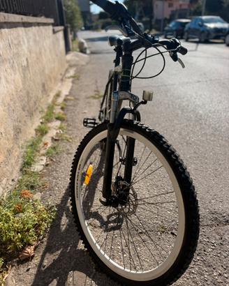 Bicicletta 29