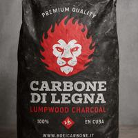 Carbone  di legna