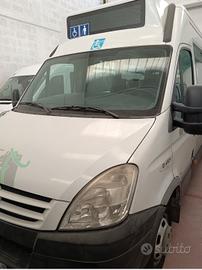 Minibus Iveco Daily ecologico con relativa licenza