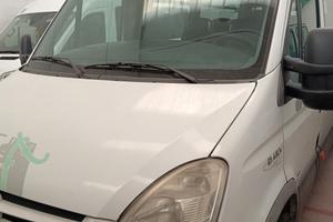 Minibus Iveco Daily ecologico con relativa licenza