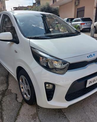 Kia Picanto 1.0 12V EcoGPL AMP 5 porte Cambio Auto