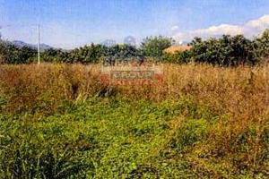 Terreno Agricolo - Calatabiano