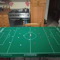 Subbuteo 