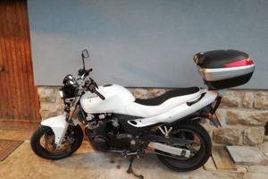 Kawasaki Z37