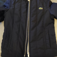 Giacca trapuntata Lacoste