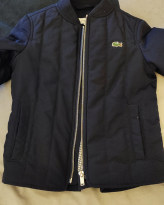 Giacca trapuntata Lacoste
