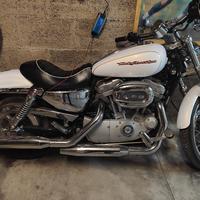 Harley 883 XL custom 2007