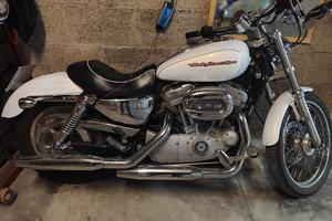 Harley 883 XL custom 2007