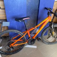 Giant Bici