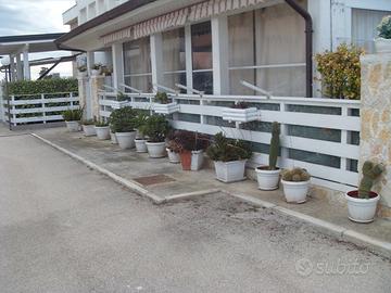 Villa a schiera al mare leggi bene