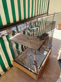 Gabbia per roditori