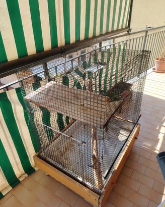 Gabbia per roditori