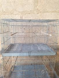 Gabbie da cova per canarini da 55