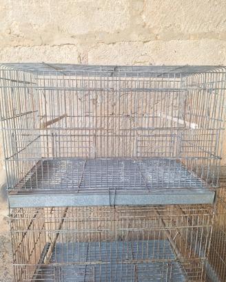 Gabbie da cova per canarini da 55