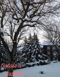 Natale a Sestola ( WI-FI free)