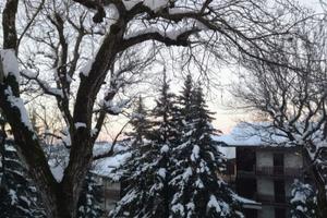 Natale a Sestola ( WI-FI free)