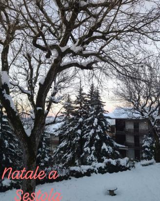 Natale a Sestola ( WI-FI free)